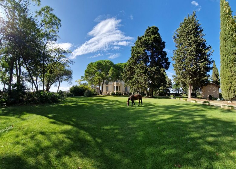 GÎTES LES PALMIERS-CHÂTEAU DE BAYSSAN