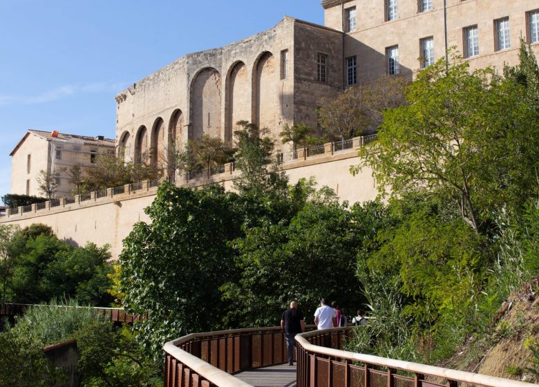 RANDO PATRIMOINE DE FONSERANES À L’ACROPOLE 2024