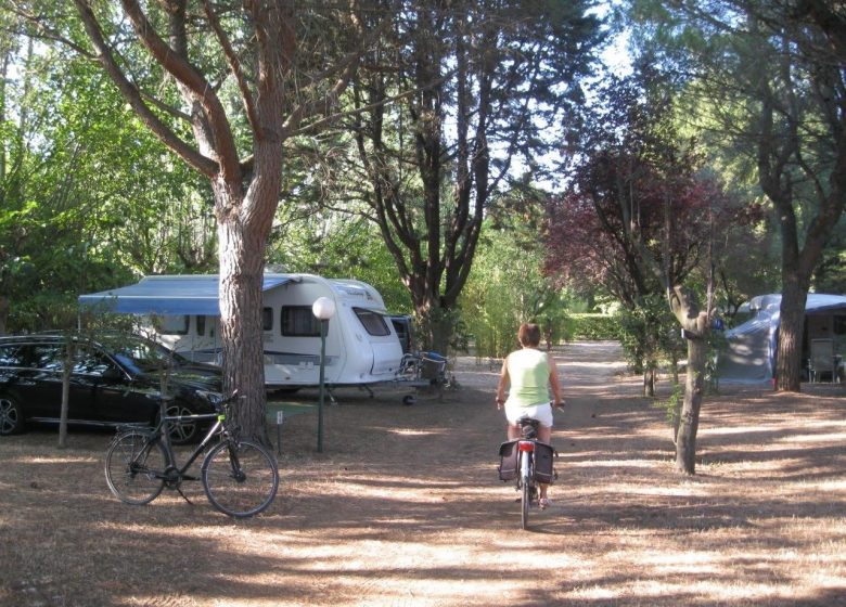 CAMPING LE REBAU