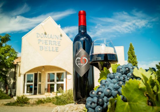 DOMAINE DE PIERRE BELLE