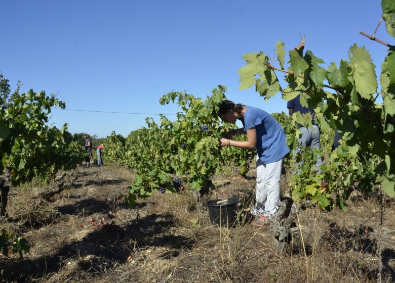 DOMAINE OBRIERE