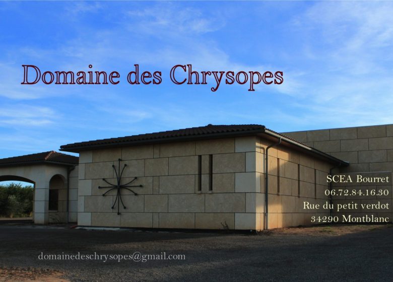 DOMAINE DES CHRYSOPES (SCEA BOURRET)