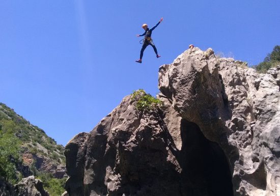 OFFICE DES MONITEURS DU LANGUEDOC