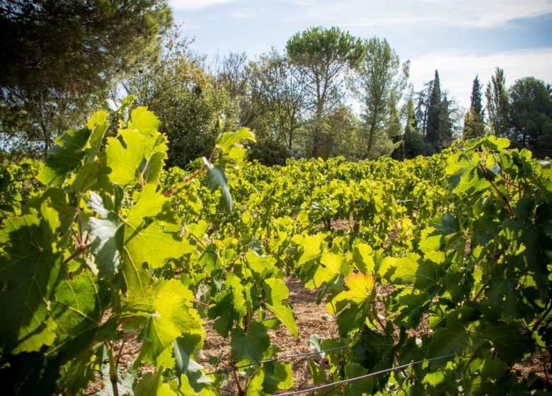 DOMAINE DE L’AB TOURRETTE