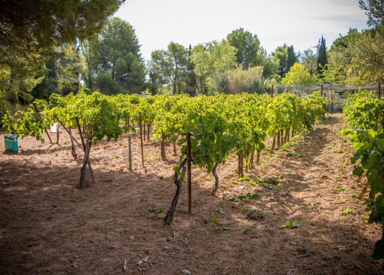 DOMAINE DE L’AB TOURRETTE