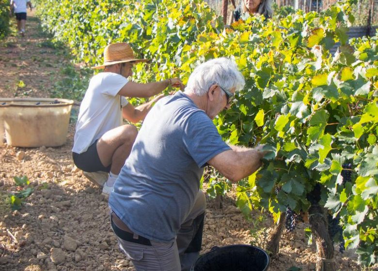 DOMAINE DE L’AB TOURRETTE