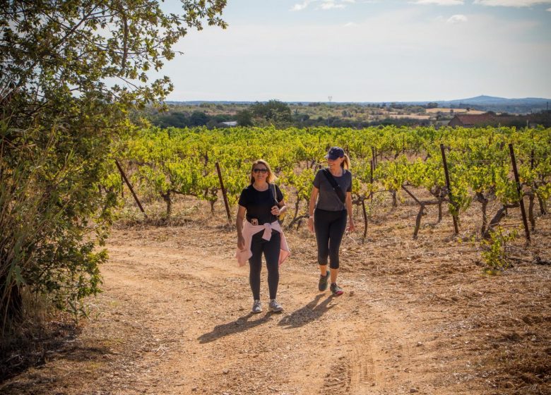 OENORANDO® LES HAUTS DE CORNEILHAN