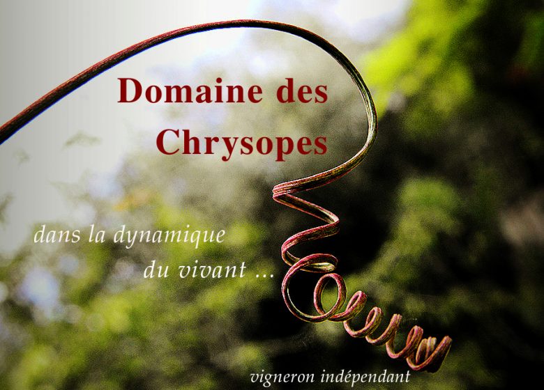 DOMAINE DES CHRYSOPES (SCEA BOURRET)