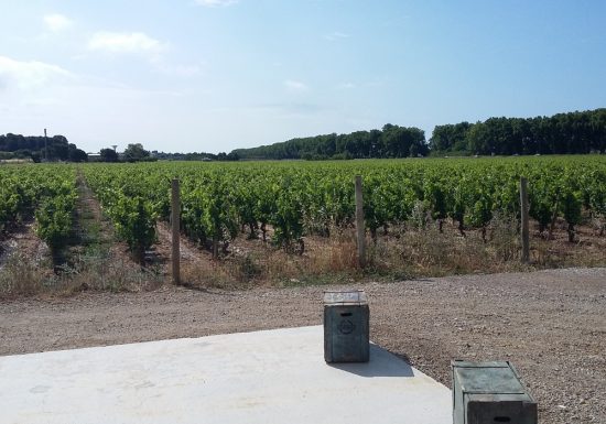 DOMAINE DELONCA